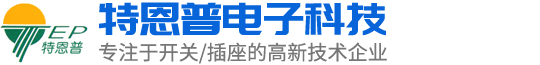 东莞市特恩普电子科技有限公司