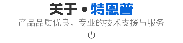 关于特恩普